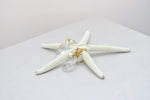 Bridal Ivory pearl and crystal teardrop earrings - aNella Designs
