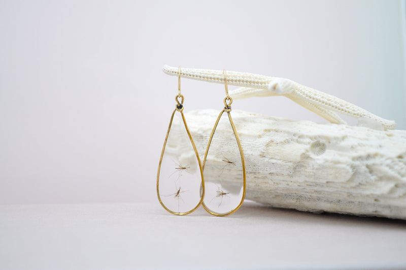 Mosquito earrings in teardrop resin Science jewelry PhD graduation gift Biology lab Genetics Neuroscience malaria virus research real insect